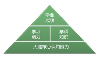 筑夢(mèng)前行 視友科技以環(huán)境科技開(kāi)拓全腦培育新領(lǐng)域，助力幼兒智慧教育